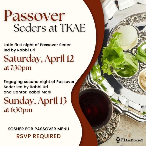 Passover Seders at TKAE