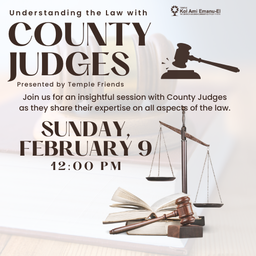 Understanding the Law with County Judges