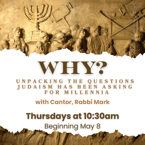 WHY? Unpacking the Questions Judaism Has Been Asking for Millennia