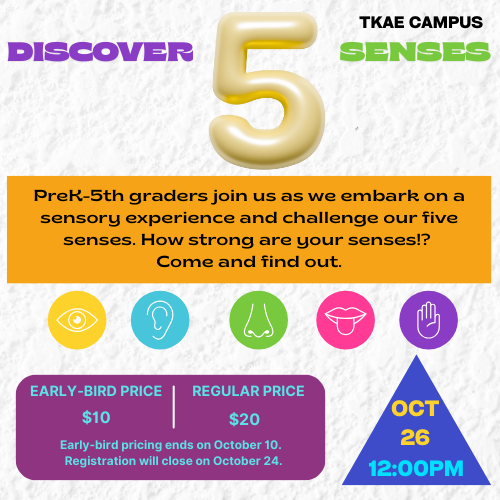 Discover 5 Senses